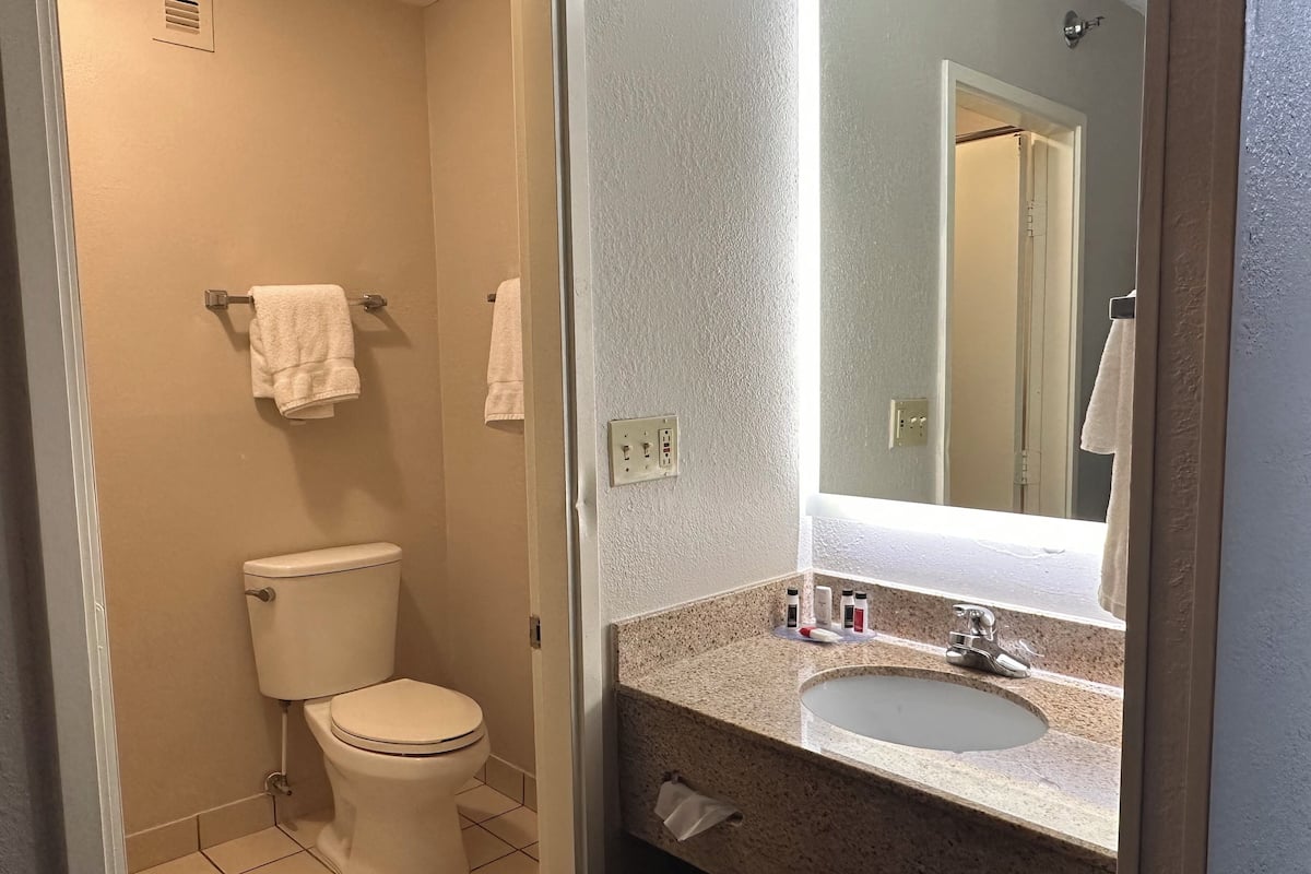 combined shower/bathtub, free toiletries, hair dryer, towels