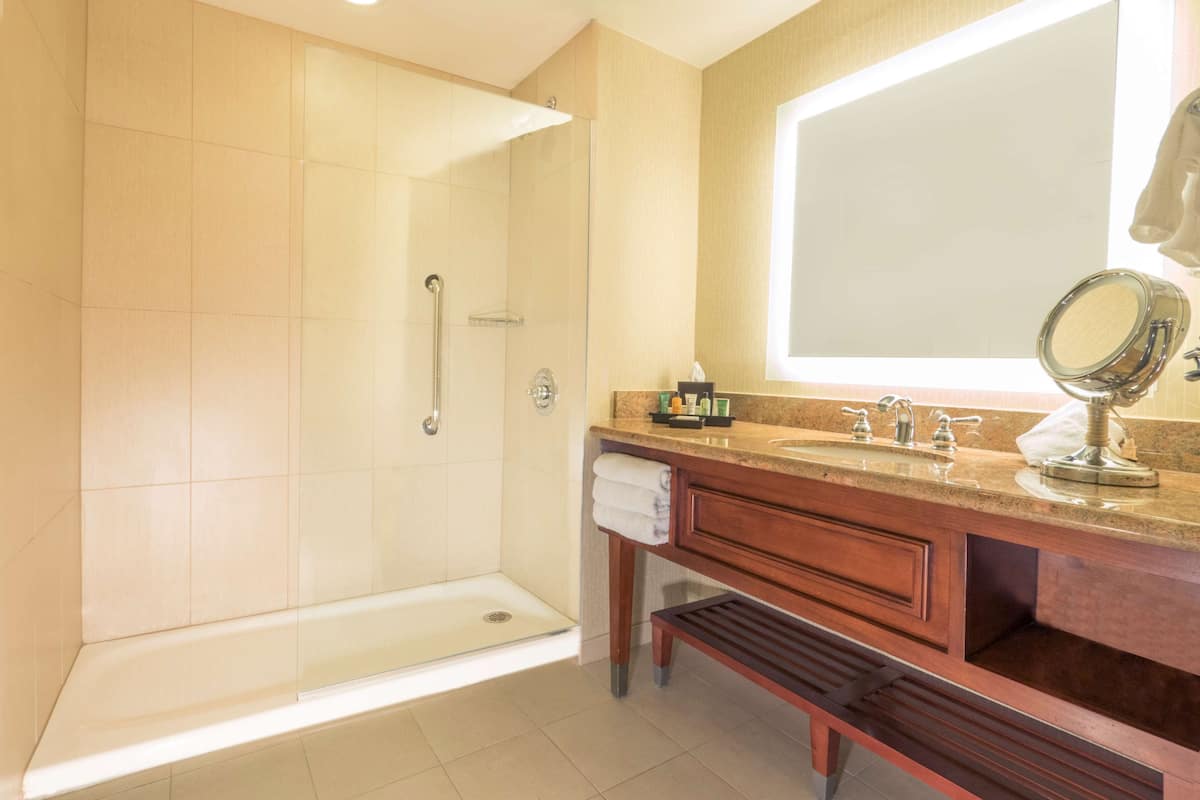 designer toiletries, hair dryer, towels