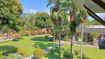 Un jardín bien cuidado con diversas plantas y un sendero que lleva a una casa.