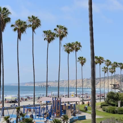 A beach with palm trees, a playground, and a pier in the background.