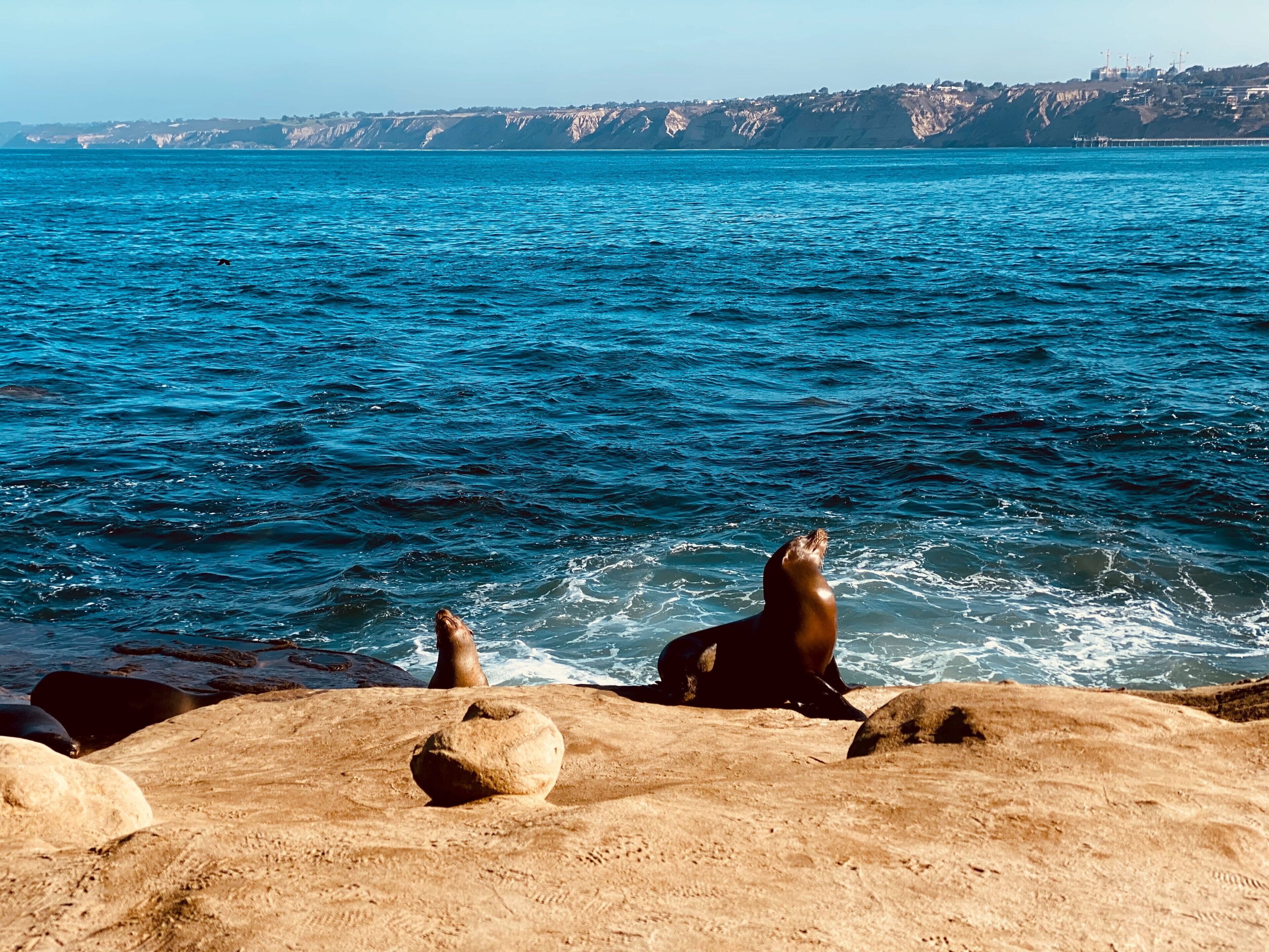 A coastal scene with a rocky foreground and a clear view of the ocean.