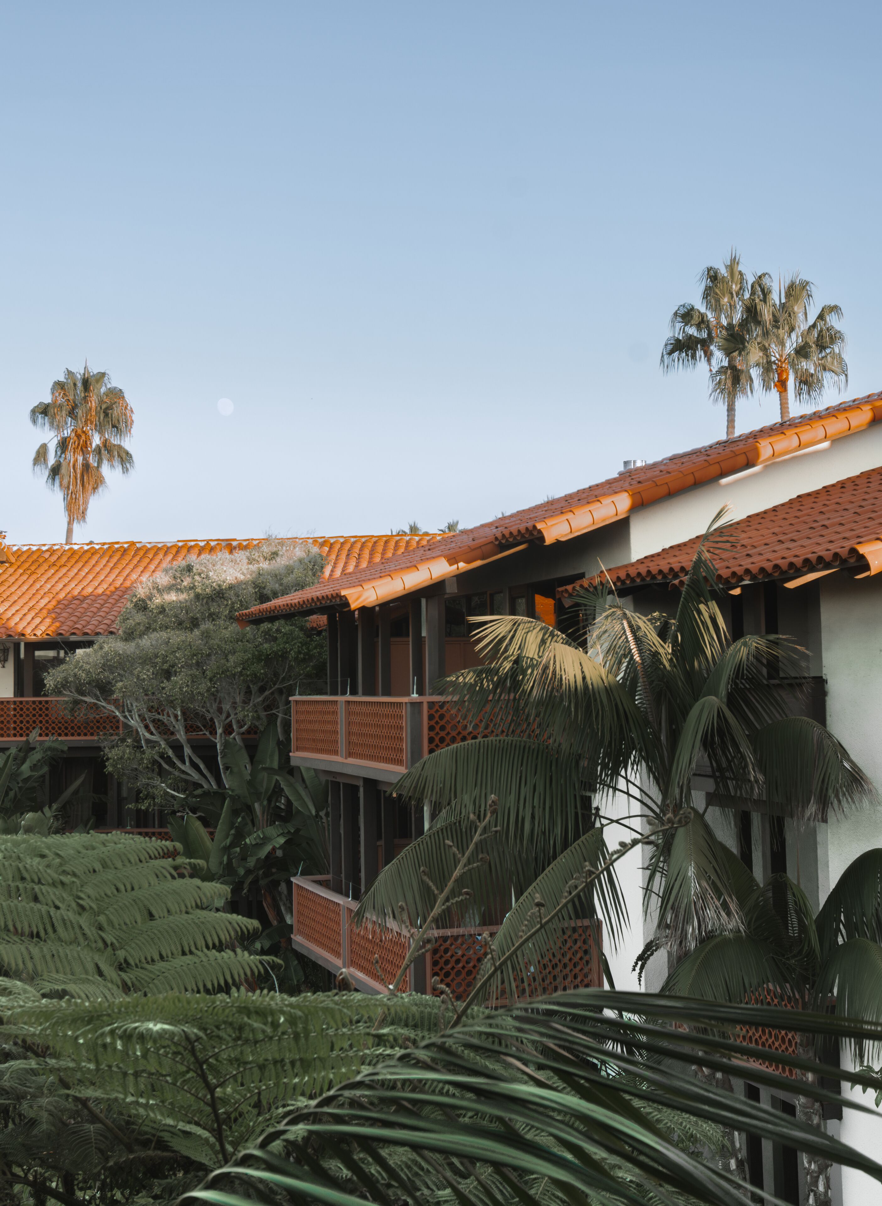 standard room, 2 queen beds (garden patio two queen beds) | garden view