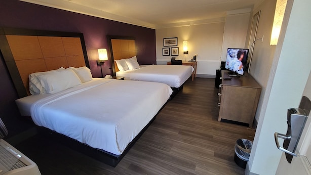 Een hotelkamer met twee bedden, een televisie, een bureau en een prullenbak.