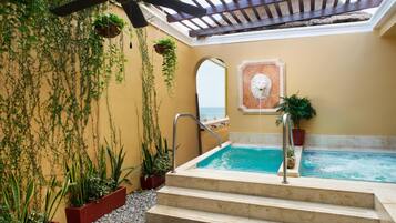 A rooftop pool area with steps leading down to a hot tub, surrounded by potted plants and a view of the sea.