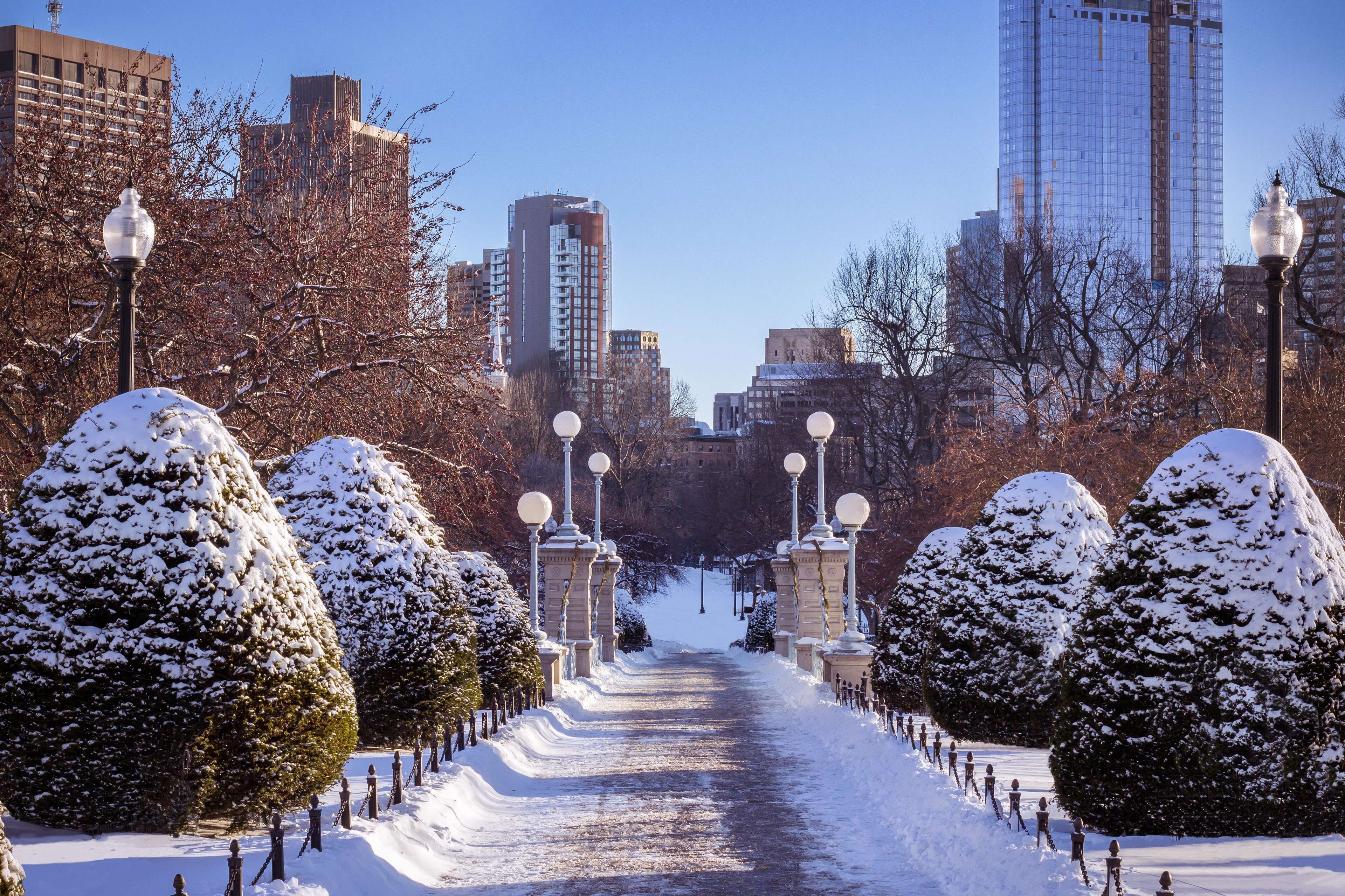 Un sendero cubierto de nieve flanqueado por árboles y farolas cargadas de nieve, que conduce hacia un paisaje urbano con edificios altos.