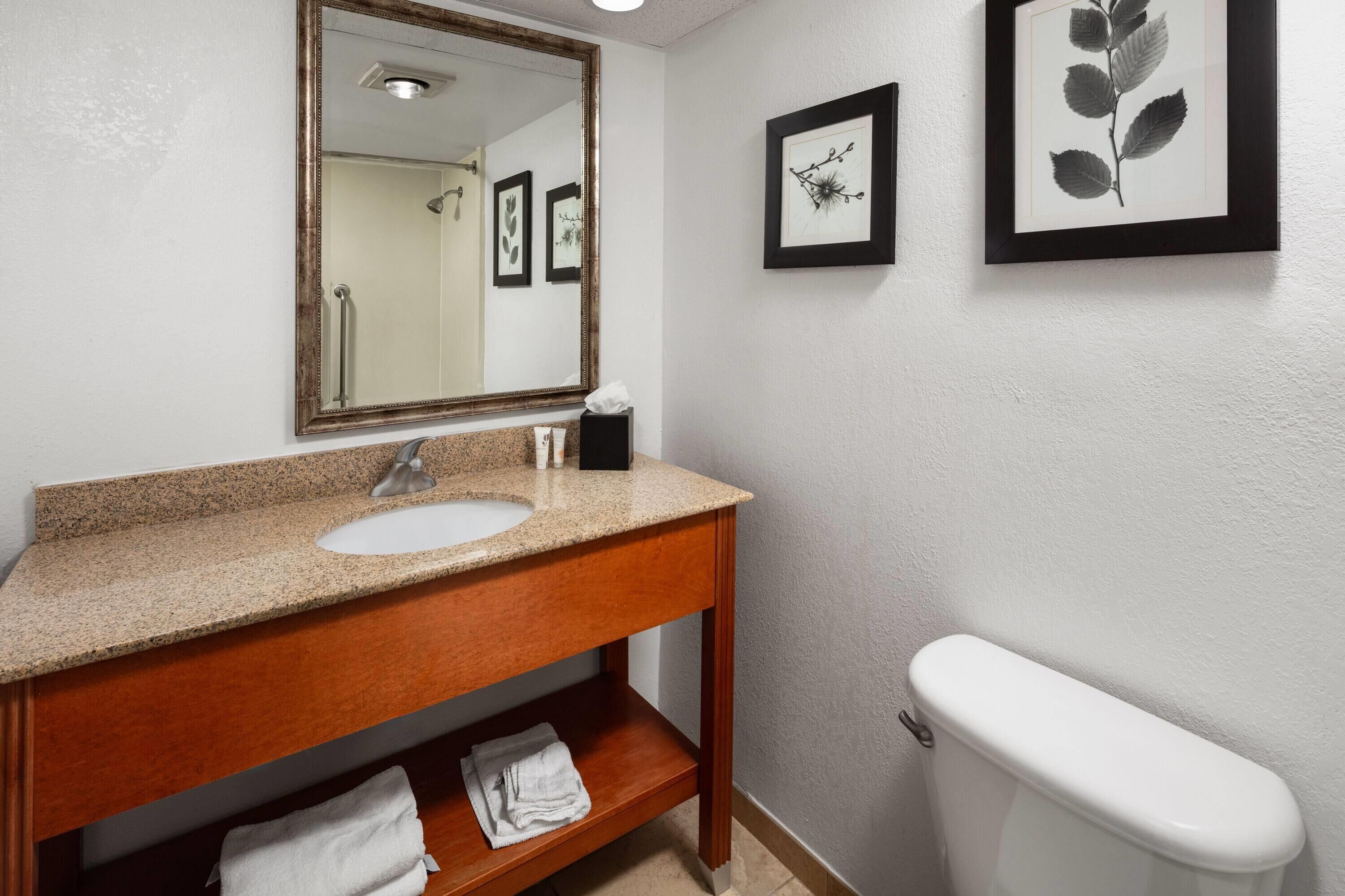 A bathroom with a granite countertop sink, a wooden vanity, a white toilet, and framed artwork on the wall.