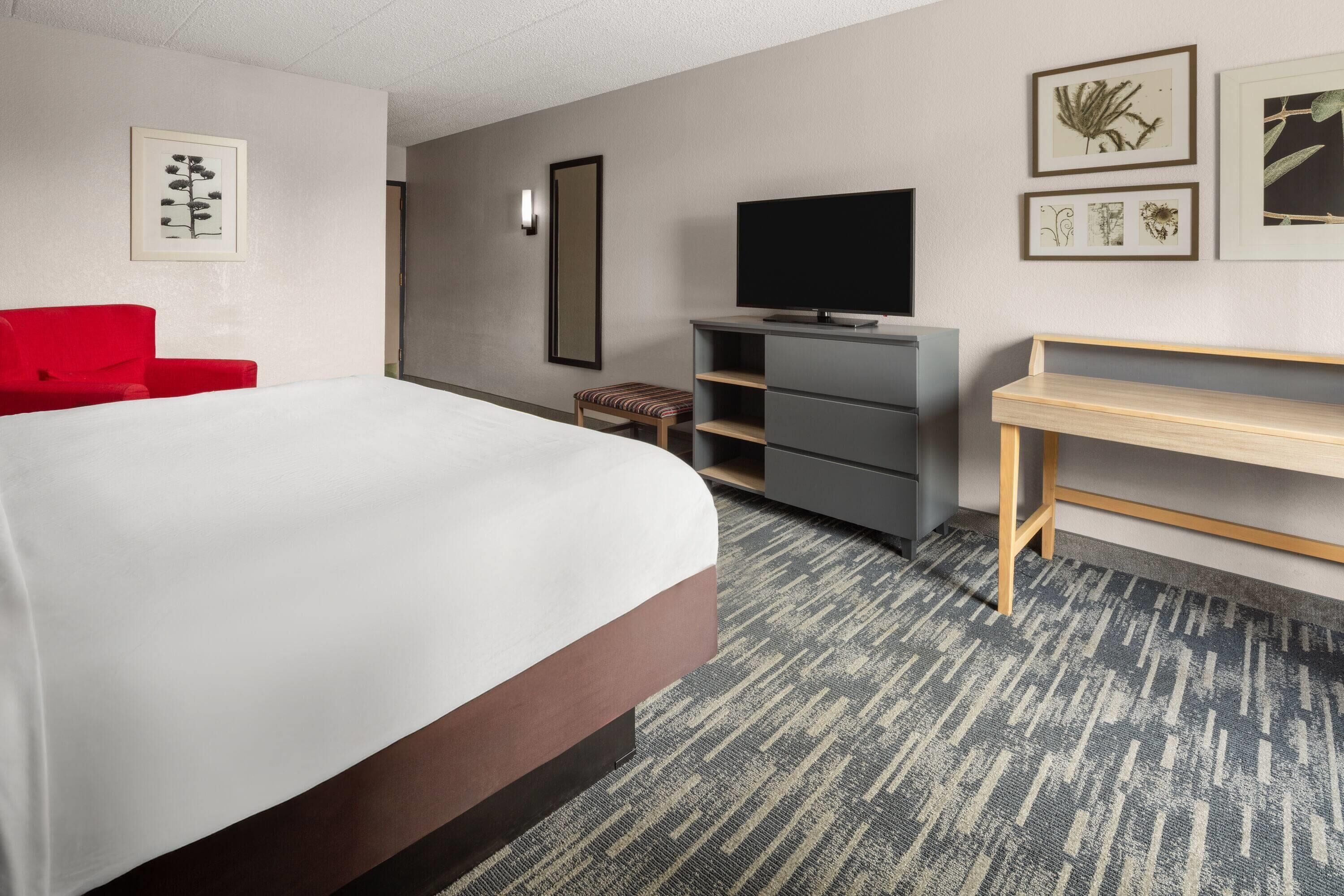 A hotel room with a bed, a red chair, a TV, a desk, and a carpeted floor.