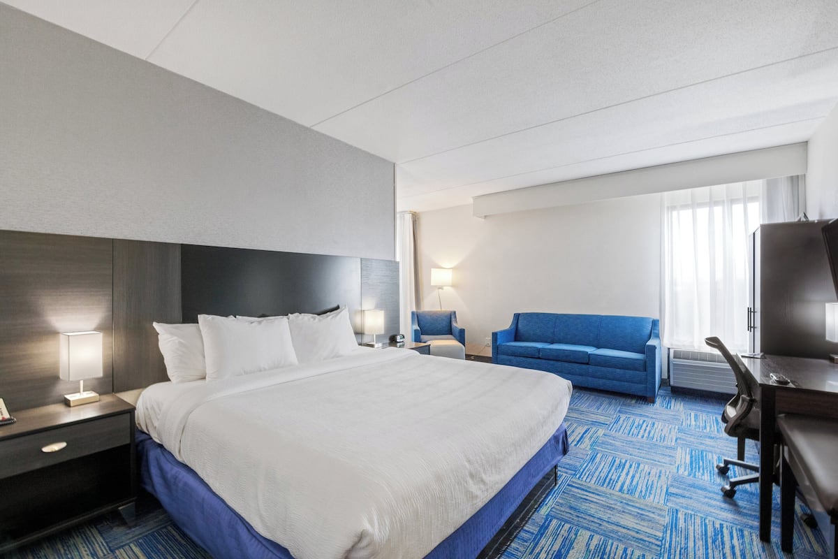 Deluxe Room, 1 King Bed, Non Smoking | Premium bedding, down duvets, individually furnished, desk