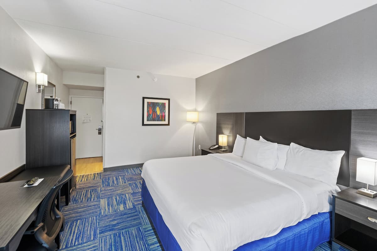 Premium bedding, down duvets, individually furnished, desk