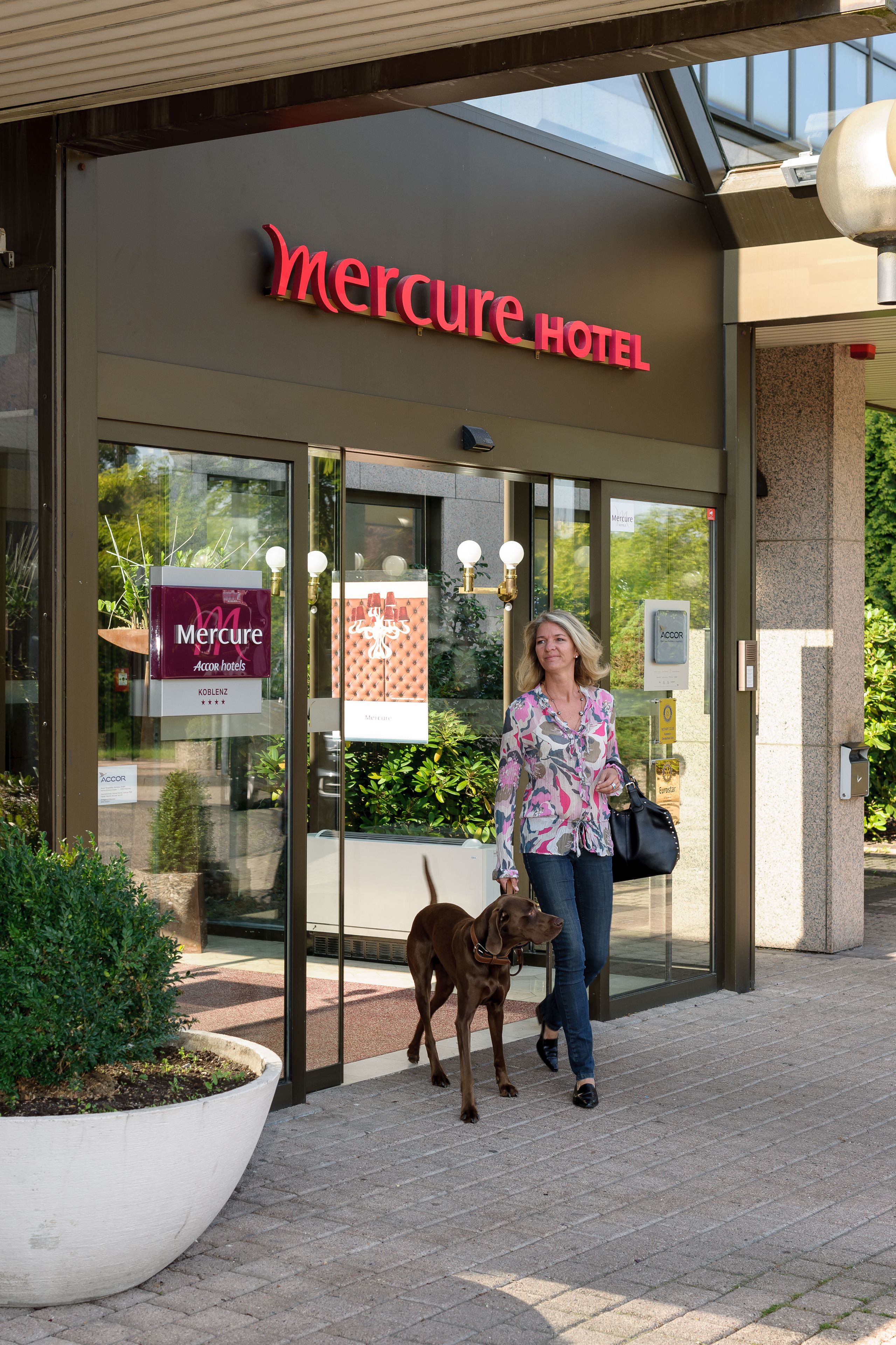 The exterior of the Mercure Hotel with a glass entrance, a large potted plant, and a dog walking in front.