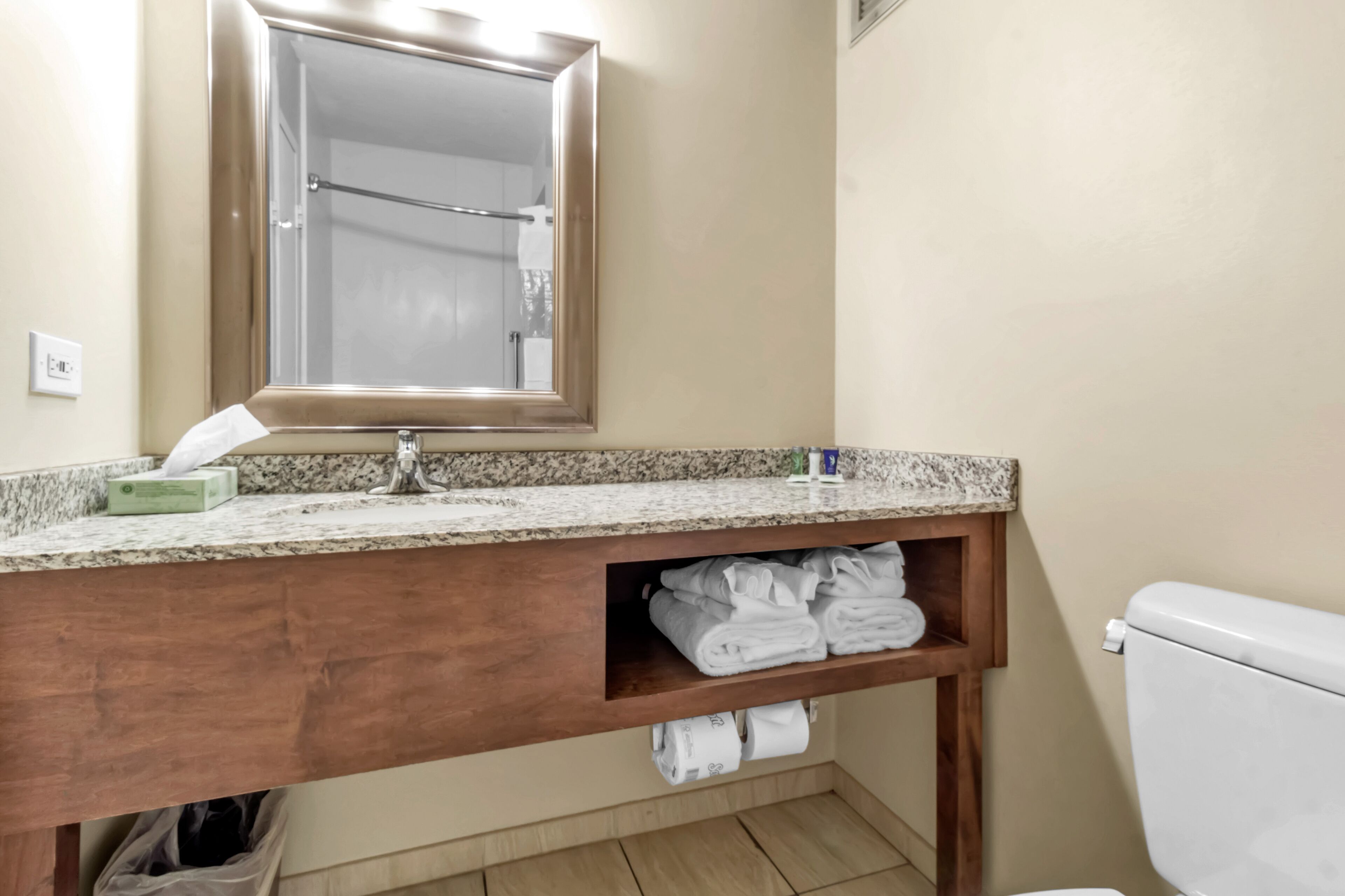 combined shower/bathtub, free toiletries, hair dryer, towels