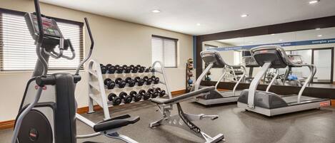 A gym with treadmills, elliptical machines, and a rack of dumbbells.