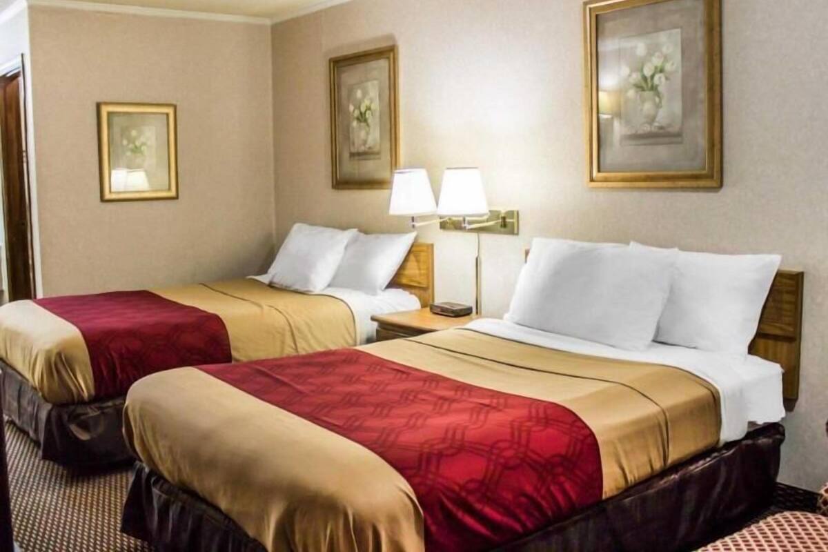 A hotel room with two beds, each with a red and beige bedspread, white pillows, and a nightstand with a lamp.