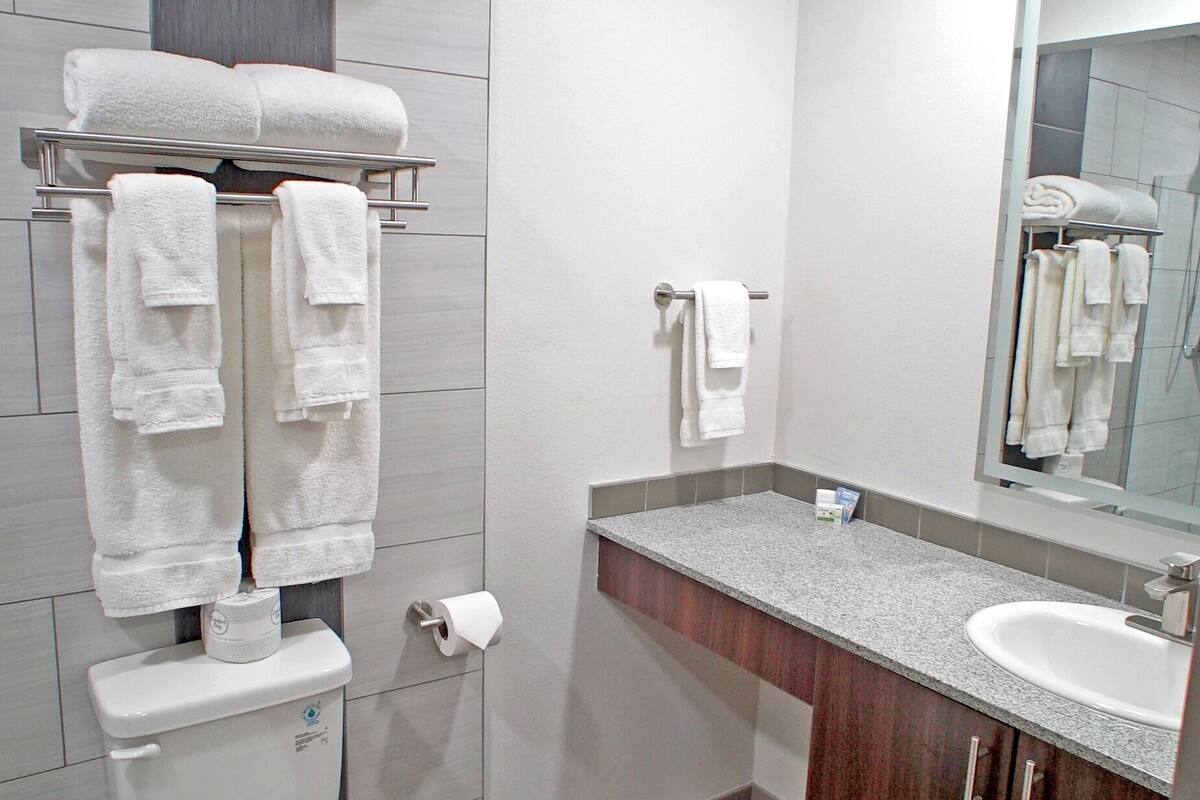 suite, multiple beds, non smoking | bathroom | shower, hydromassage showerhead, free toiletries, hair dryer