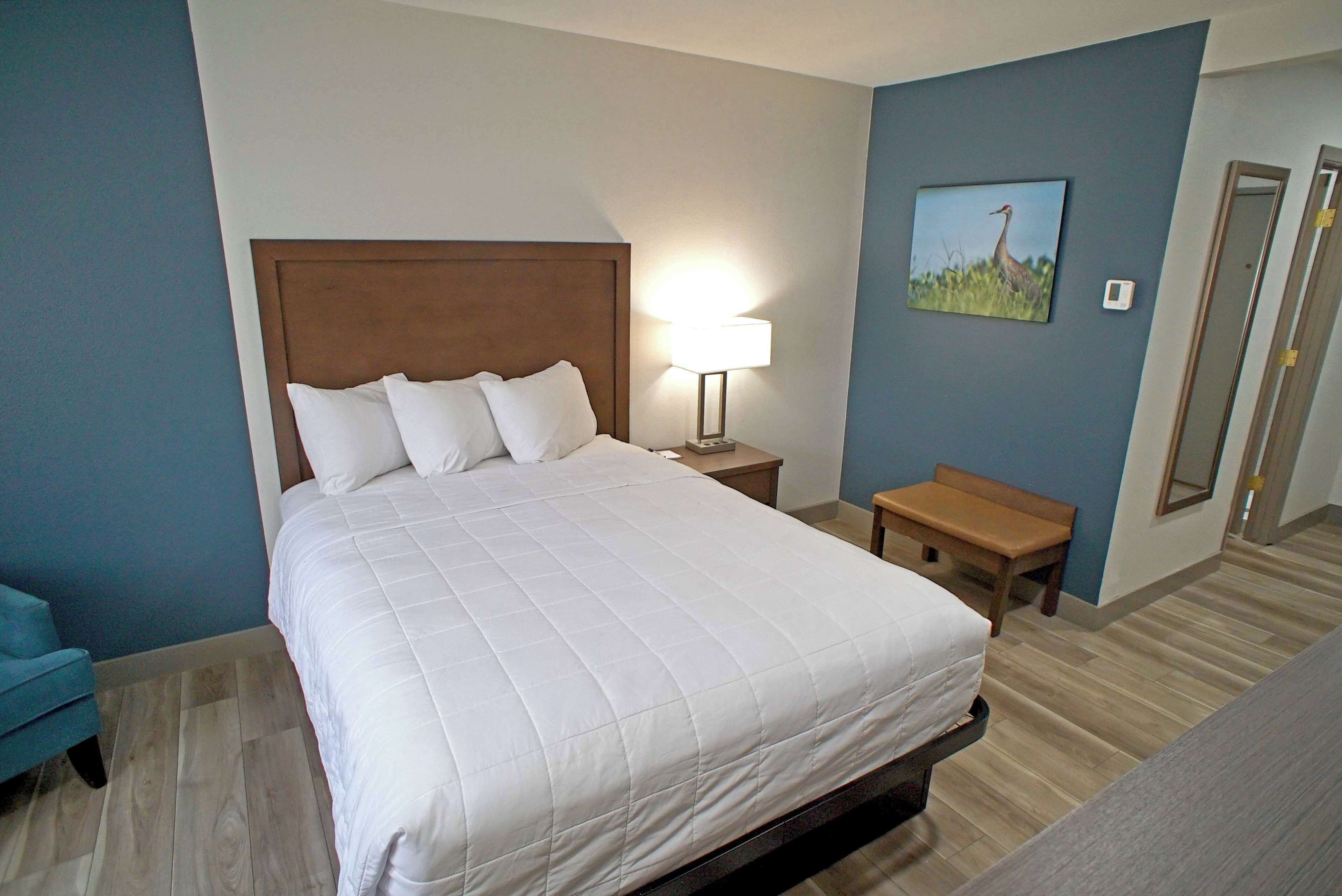 Quarto de hotel com uma cama grande, uma mesinha de cabeceira com abajur, um pequeno banco de madeira e um quadro na parede.