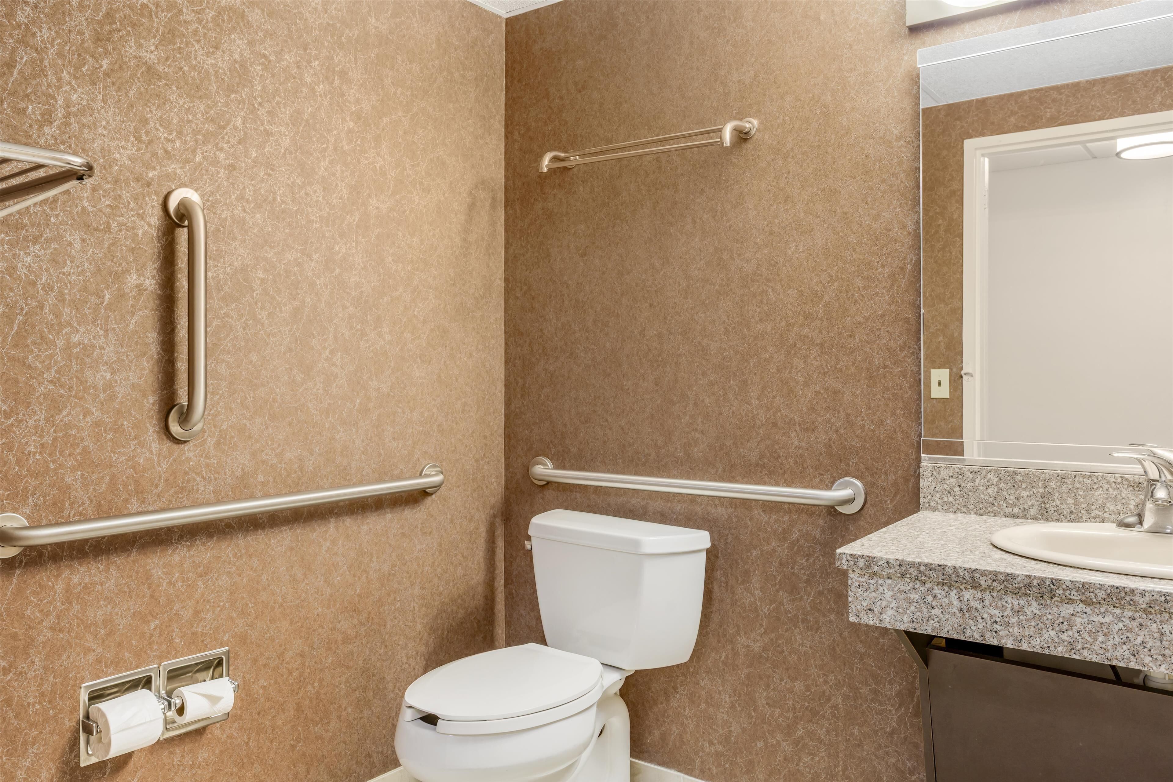 A bathroom with a toilet, grab bars, a sink, and a mirror.