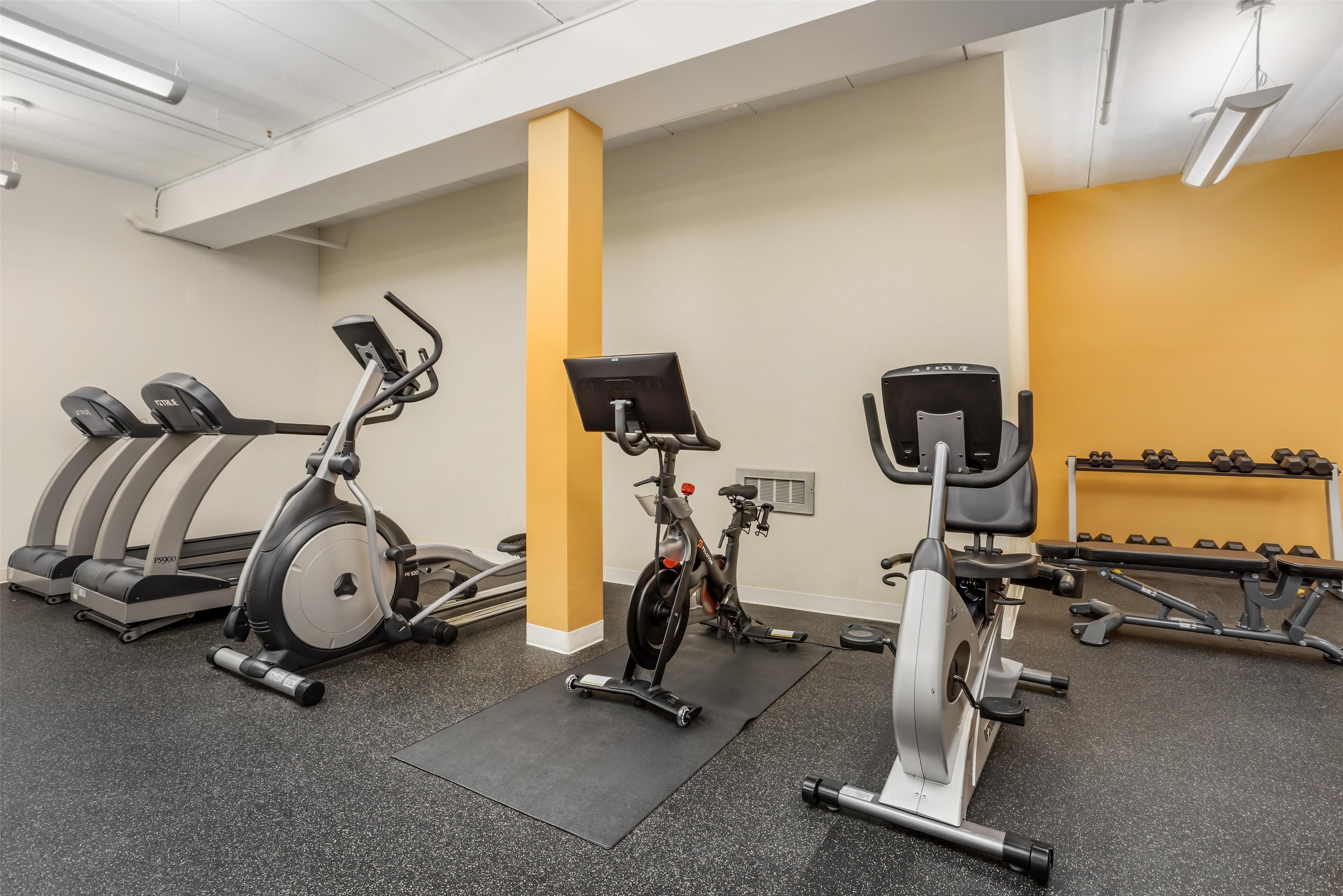 A gym with stationary bikes, treadmills, and weight machines.