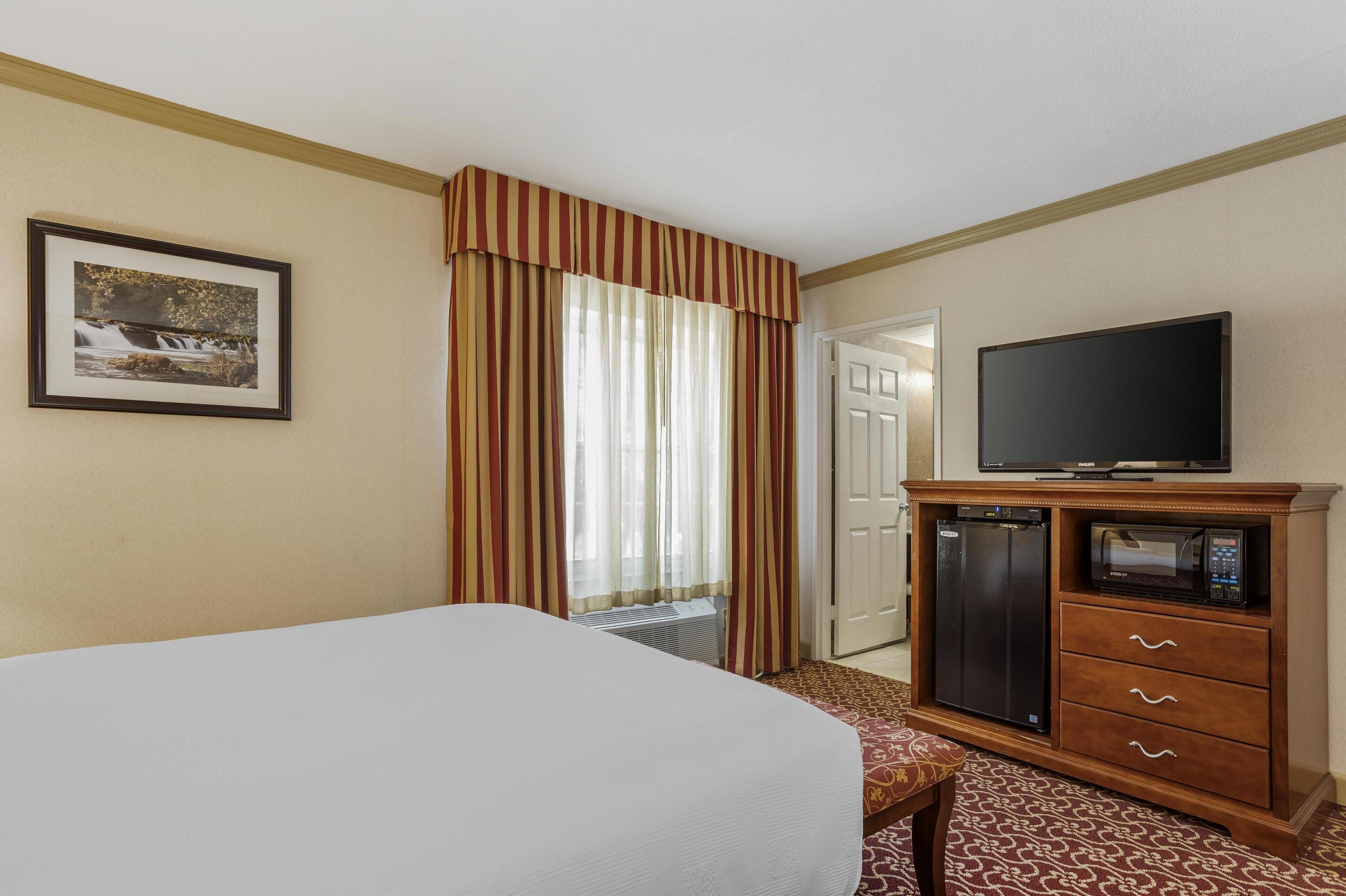 Une chambre d’hôtel avec un lit, un téléviseur posé sur un meuble, un four à micro-ondes et un tableau encadré au mur.