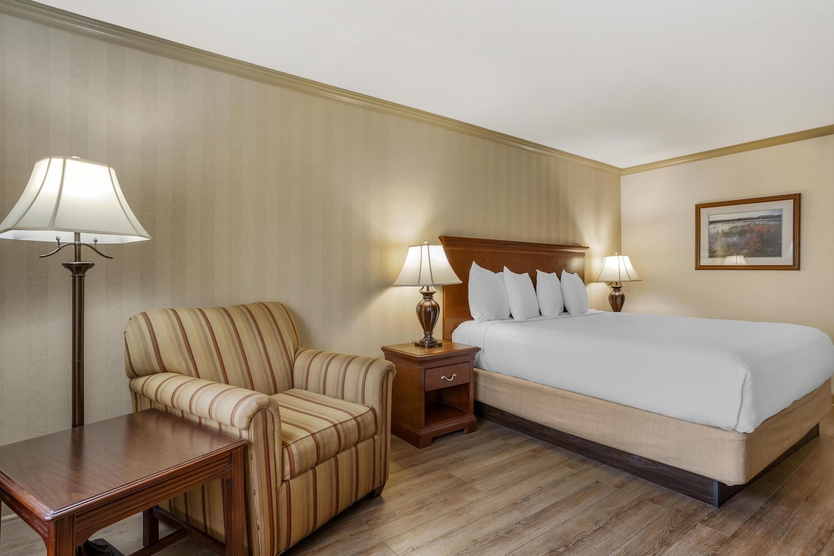 Une chambre d’hôtel avec un lit, un fauteuil à rayures, une table de chevet en bois avec des lampes et une table en bois.