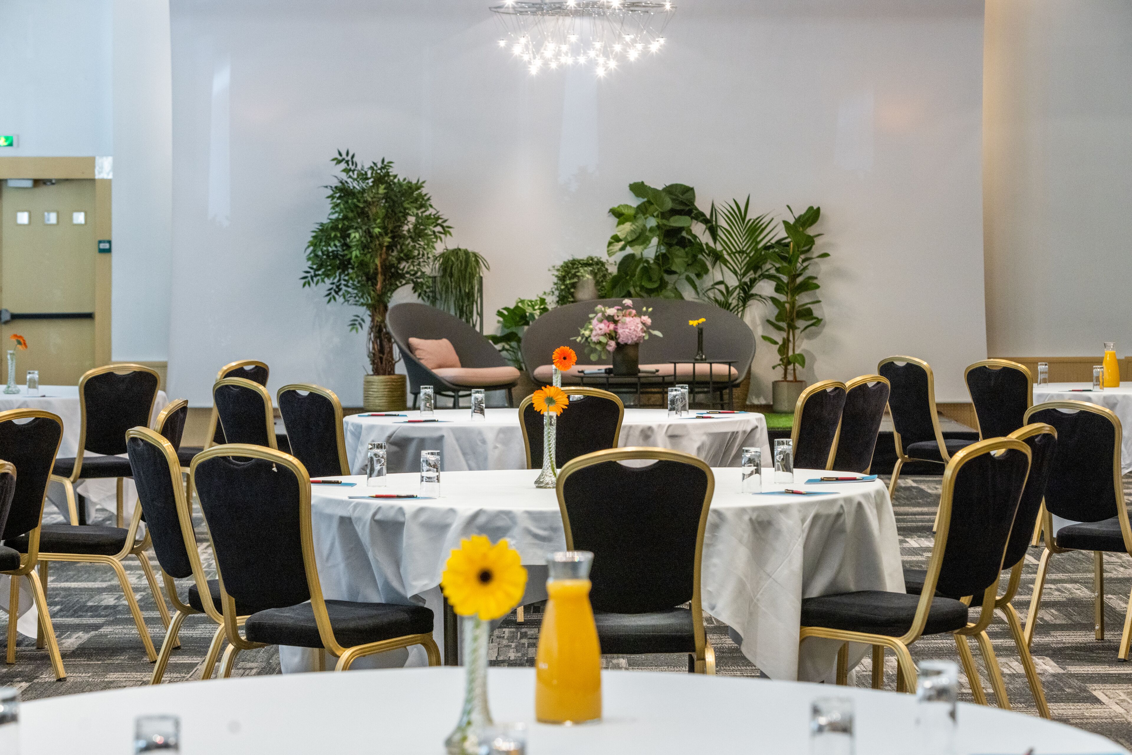 A conference room with round tables, black chairs with gold frames, and white tablecloths.
