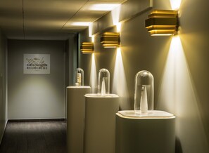 Couples treatment room(s), steam room, body treatments, body wraps
