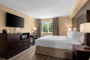 Room, 1 King Bed, Non Smoking