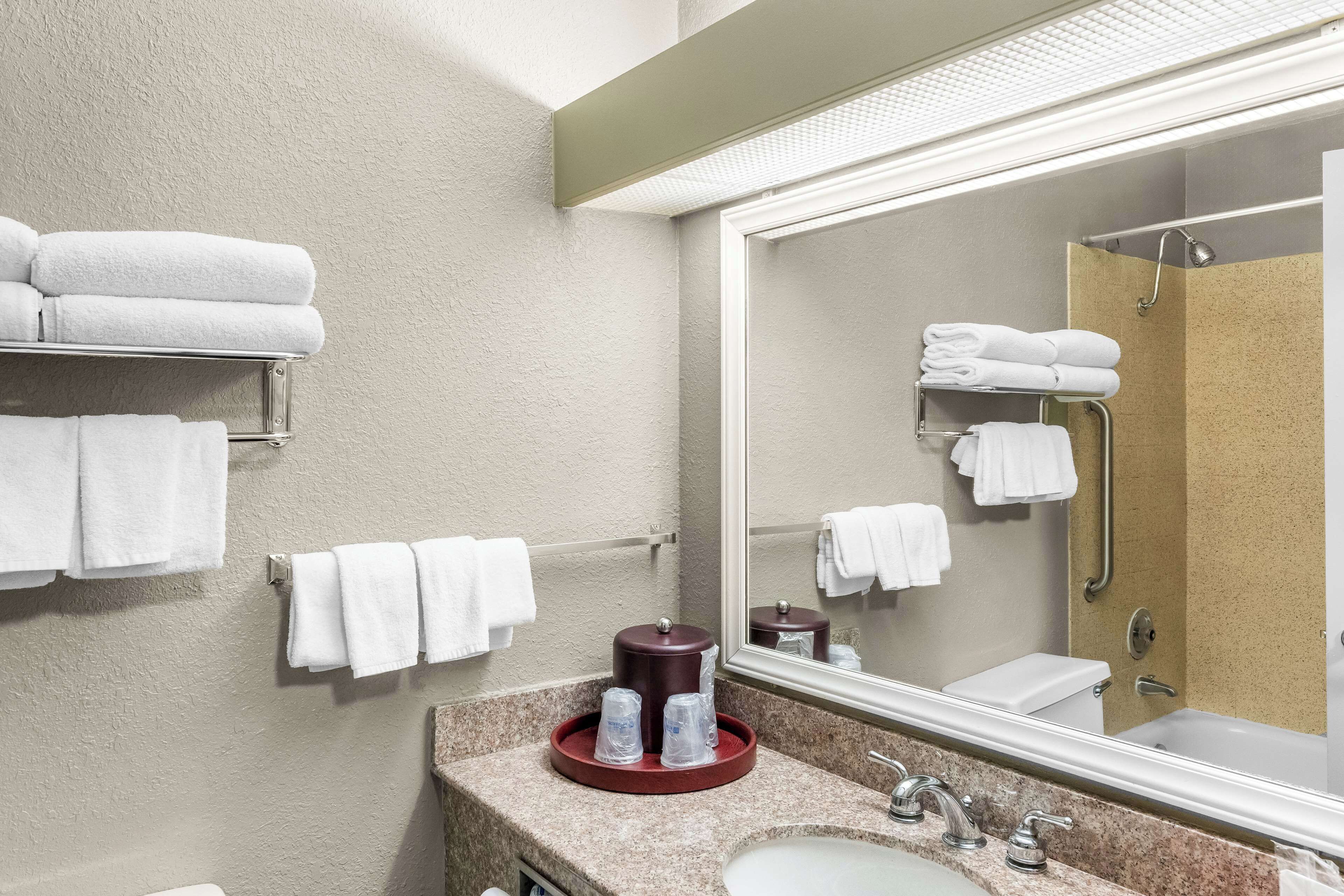 Un baño con un espejo grande, un lavabo, un inodoro y una ducha. Hay toallas colgadas en la pared y una bandeja con artículos de aseo.