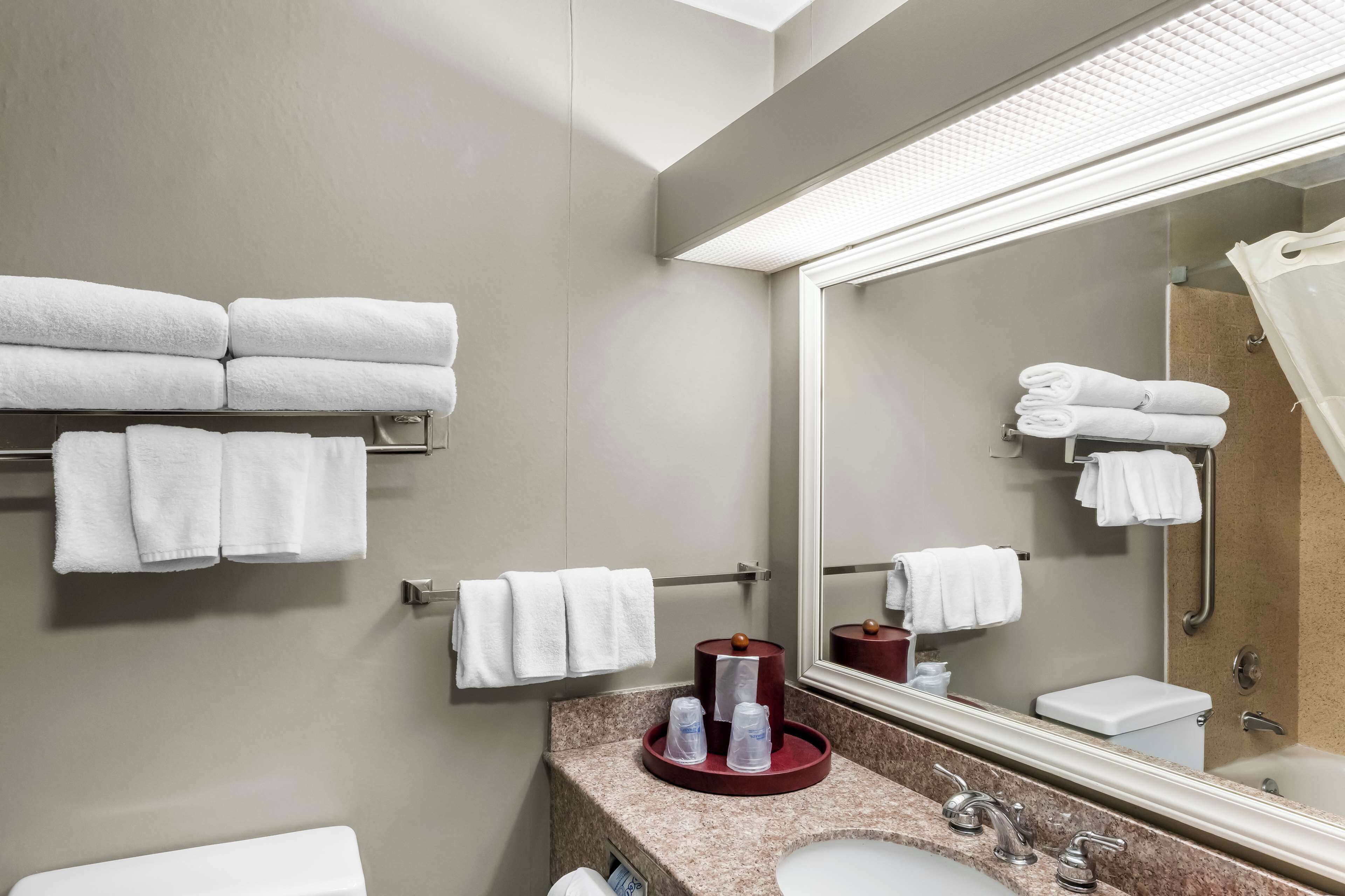 combined shower/bathtub, free toiletries, hair dryer, towels