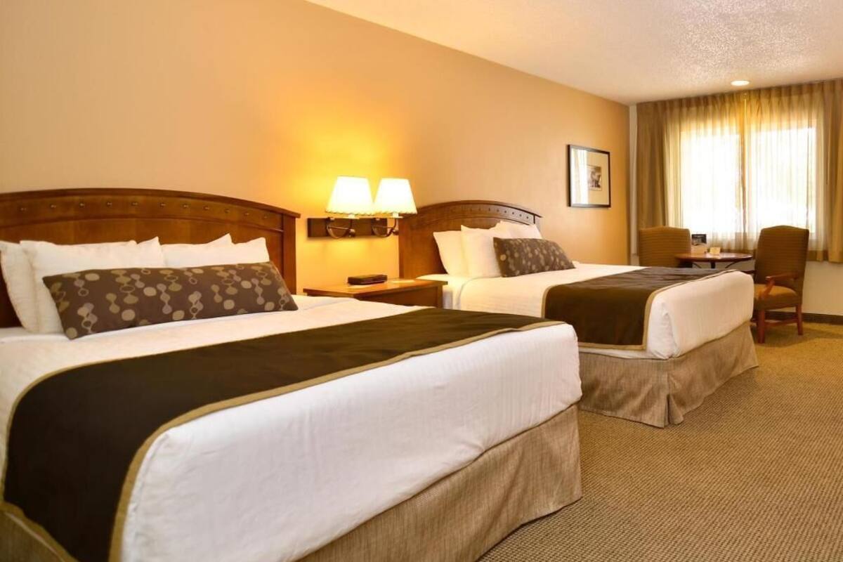 Desk, laptop workspace, iron/ironing board, free cribs/infant beds