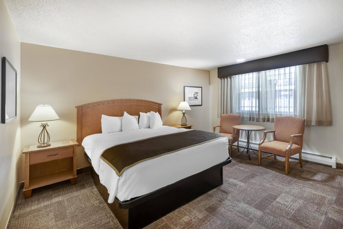 Standard Room, 1 King Bed, Non Smoking, Refrigerator & Microwave | Desk, laptop workspace, iron/ironing board, cribs (free)