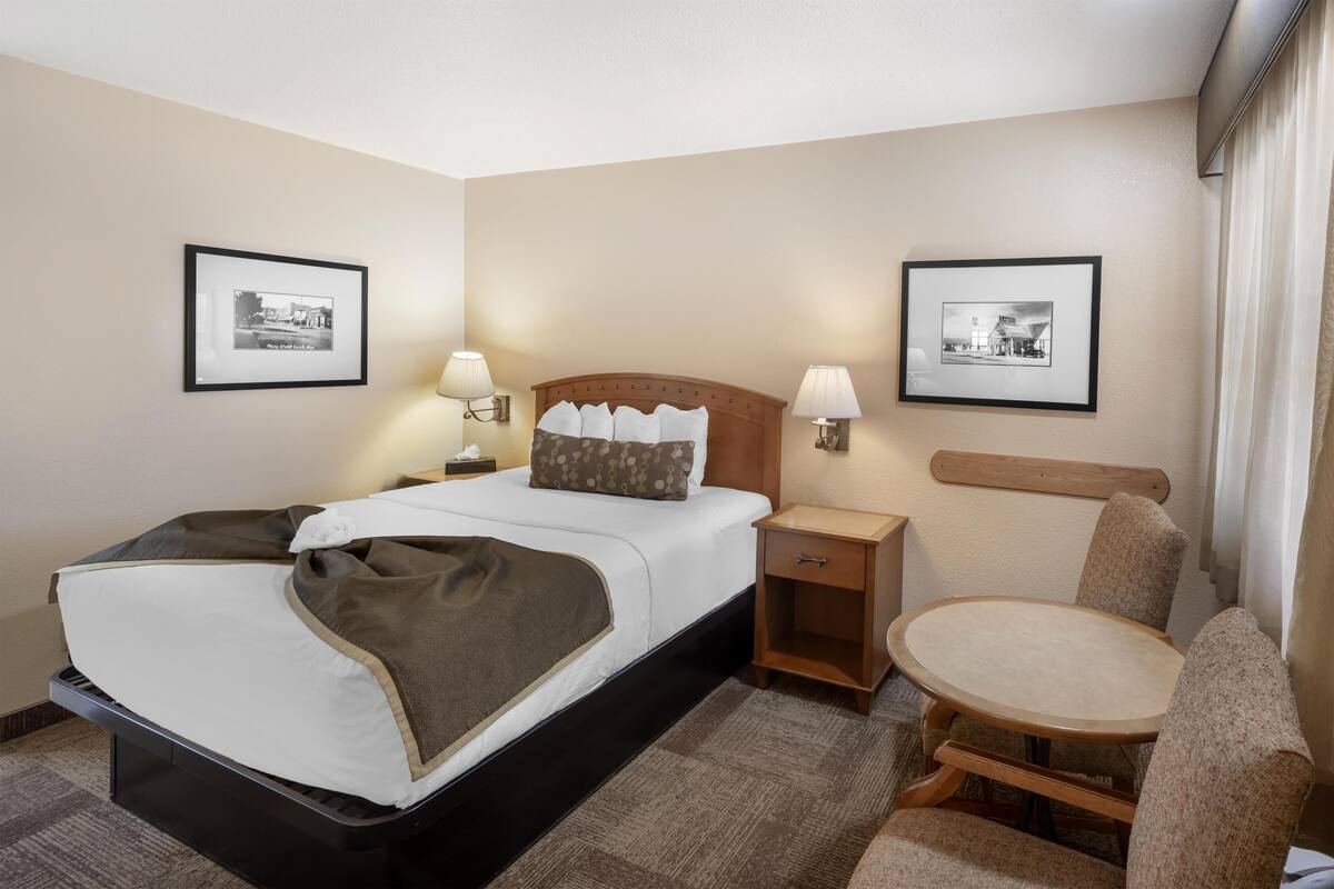Standard Room, 1 Queen Bed, Non Smoking, Refrigerator & Microwave | Desk, laptop workspace, iron/ironing board, cribs (free)