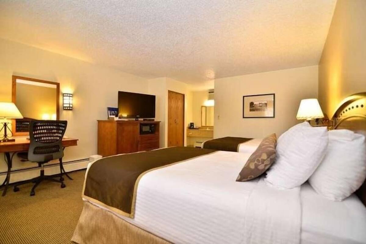 A hotel room with a bed, desk, chair, television, and a framed picture on the wall.