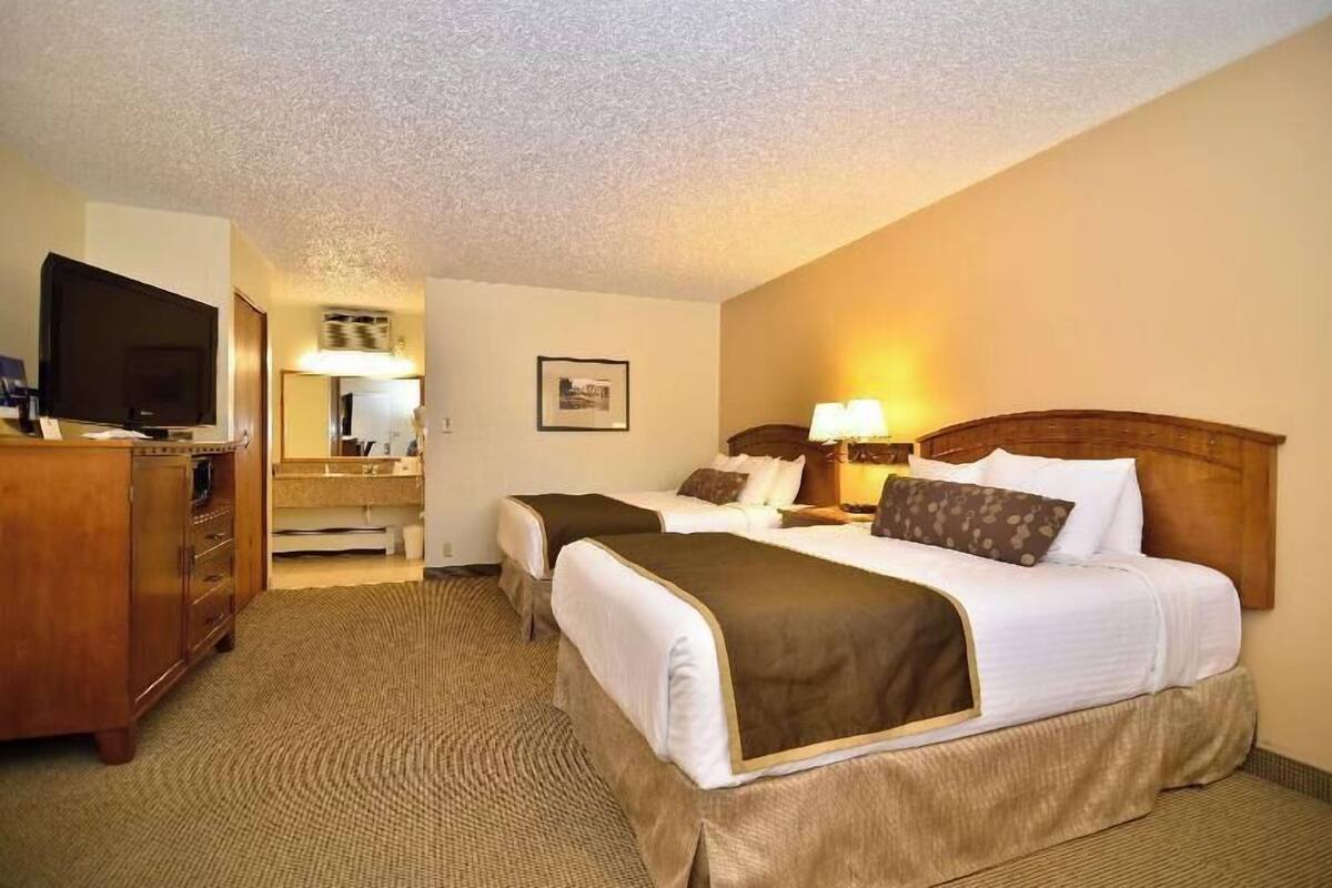 Desk, laptop workspace, iron/ironing board, free cribs/infant beds