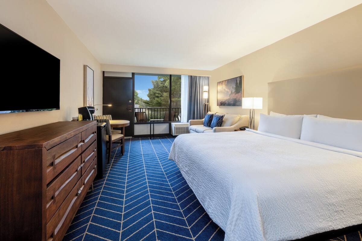 Hotelkamer met een groot bed, een dressoir, een bureau, een stoel, een televisie en een balkon met uitzicht op bomen.