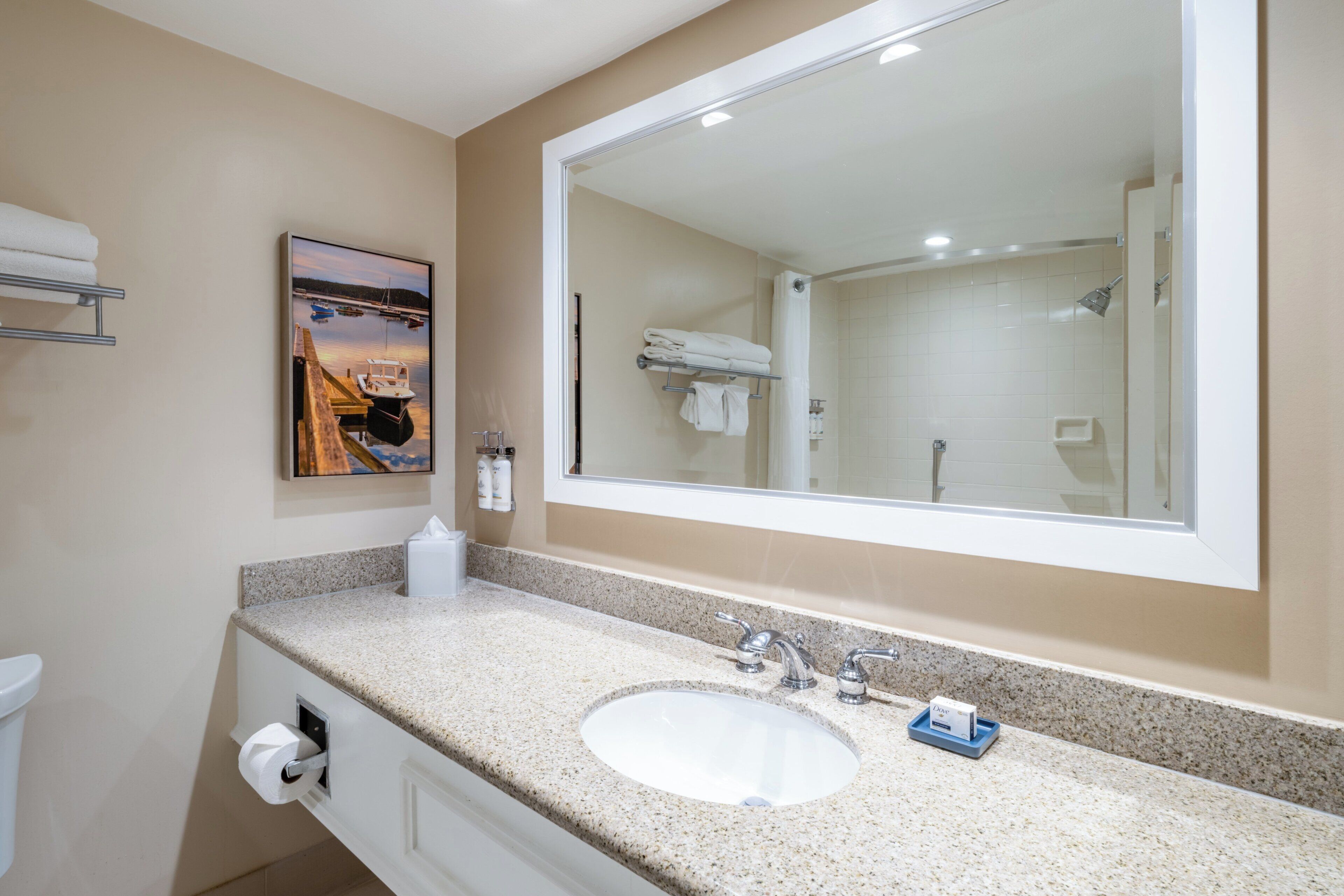 A bathroom with a large mirror, a sink, and a toilet. There is a painting on the wall and a towel rack above the sink.