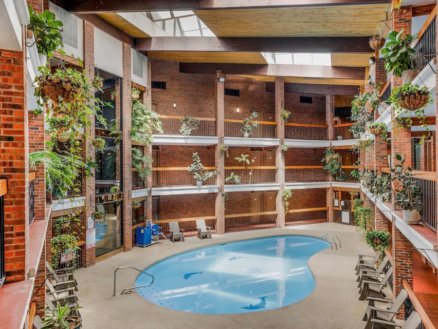 Indoor pool, sun loungers