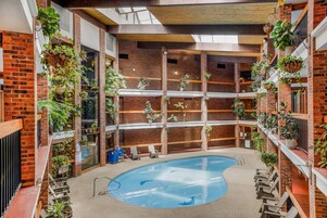 Indoor pool, sun loungers