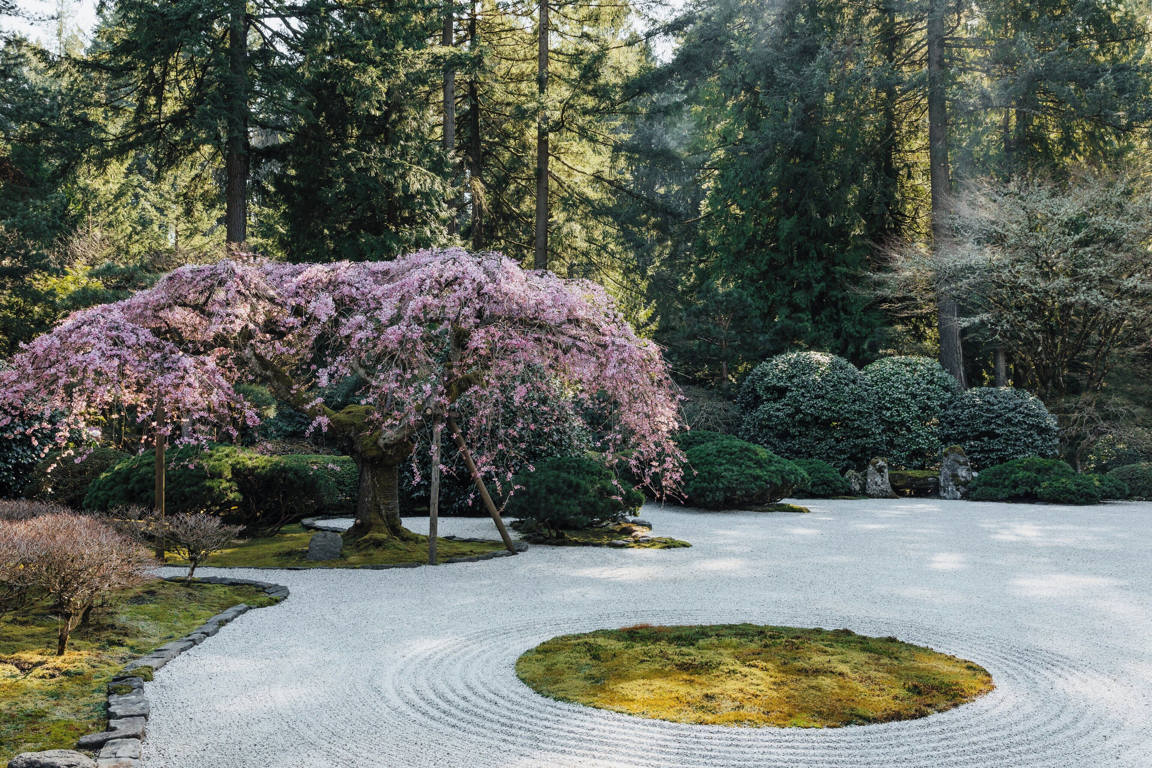 Foto - Park Lane Suites & Inn