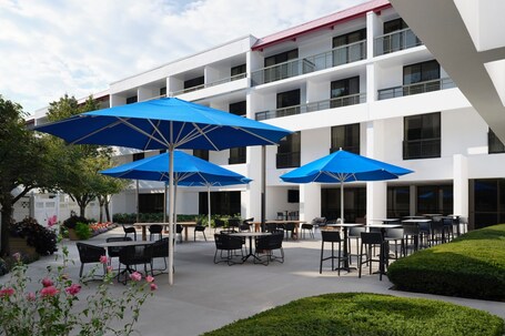 Marriott Park Ridge - Image 45