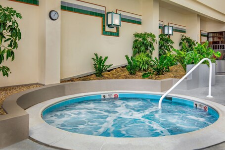 Marriott Park Ridge - Image 47