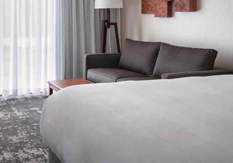 Marriott Park Ridge - Image 17
