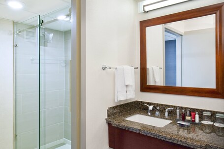 Marriott Park Ridge - Image 10