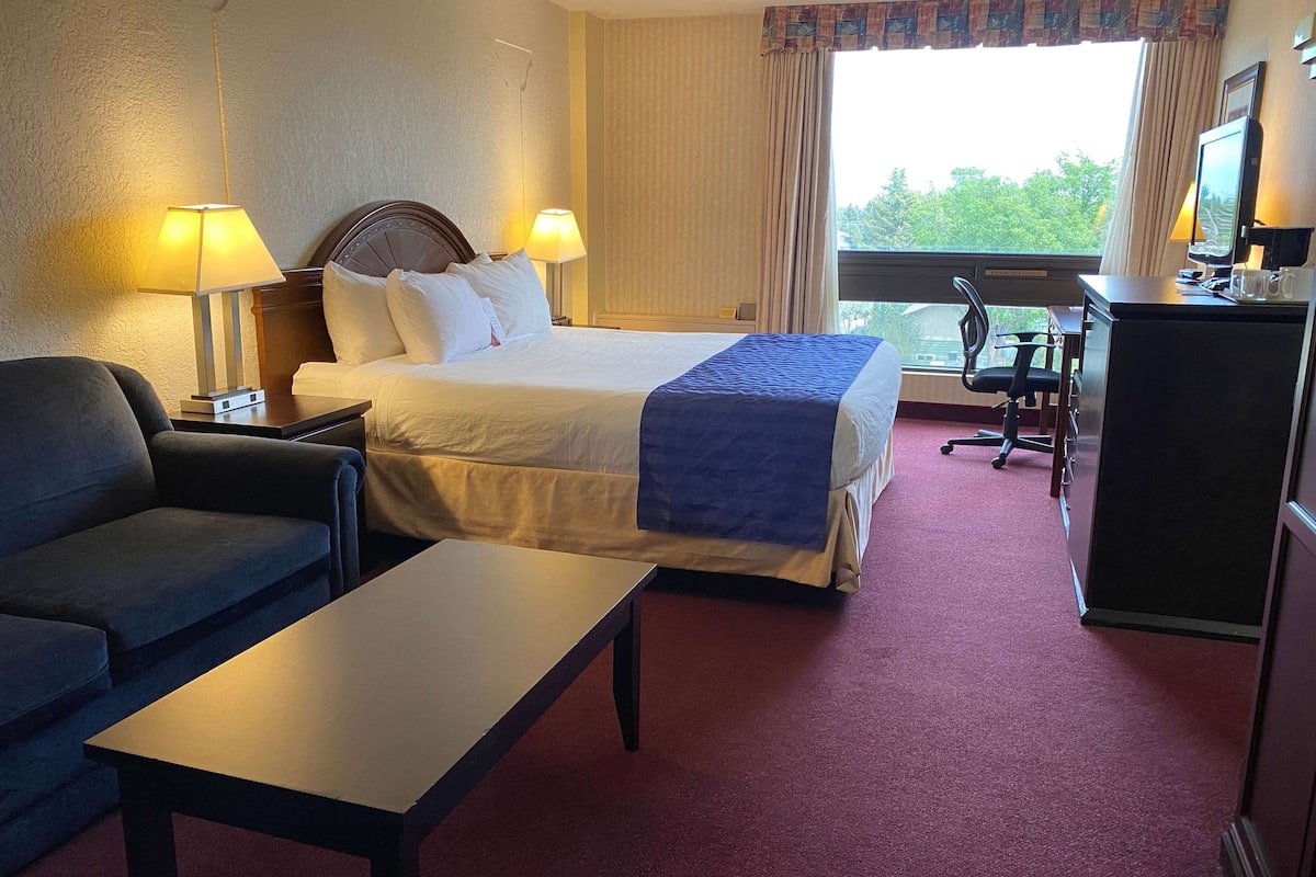 Habitación de hotel con cama, dos lámparas de noche, un escritorio con silla, televisión y ventana con vistas a árboles.