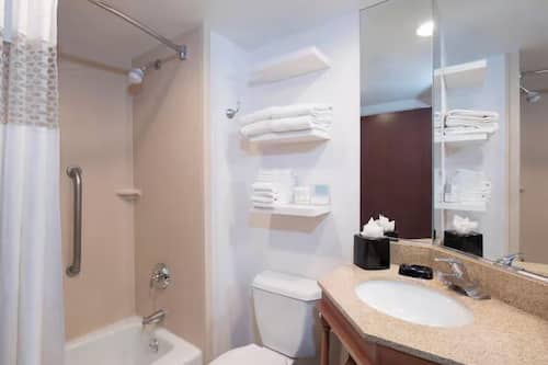 シャワー付き浴槽、水圧マッサージシャワー、バスアメニティ (無料)、ヘアドライヤー