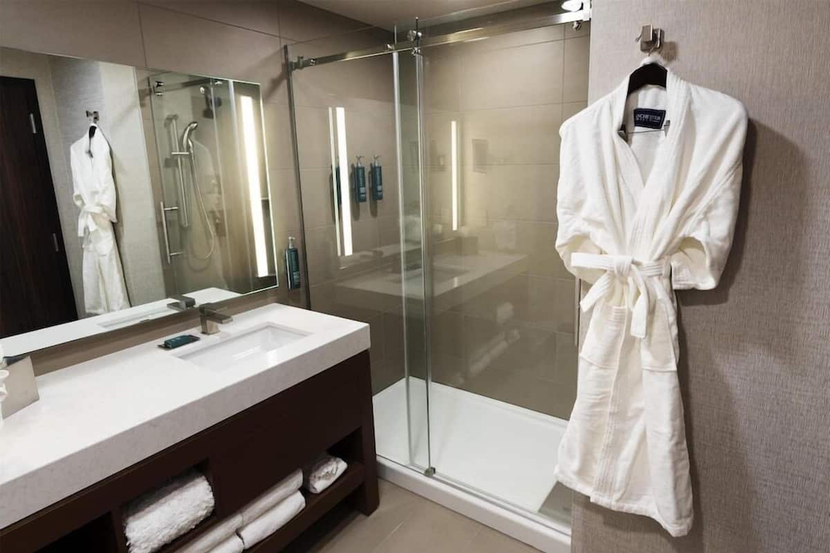 Baño | Amenidades de baño gratuitas, secadora de cabello, toallas
