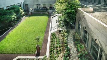 Un patio con césped, una pequeña zona ajardinada y un edificio con grandes ventanales.