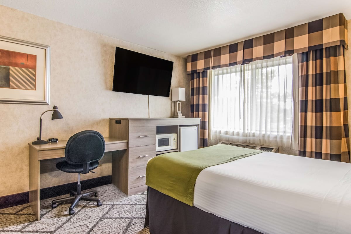 Premium bedding, down duvets, pillow-top beds, in-room safe