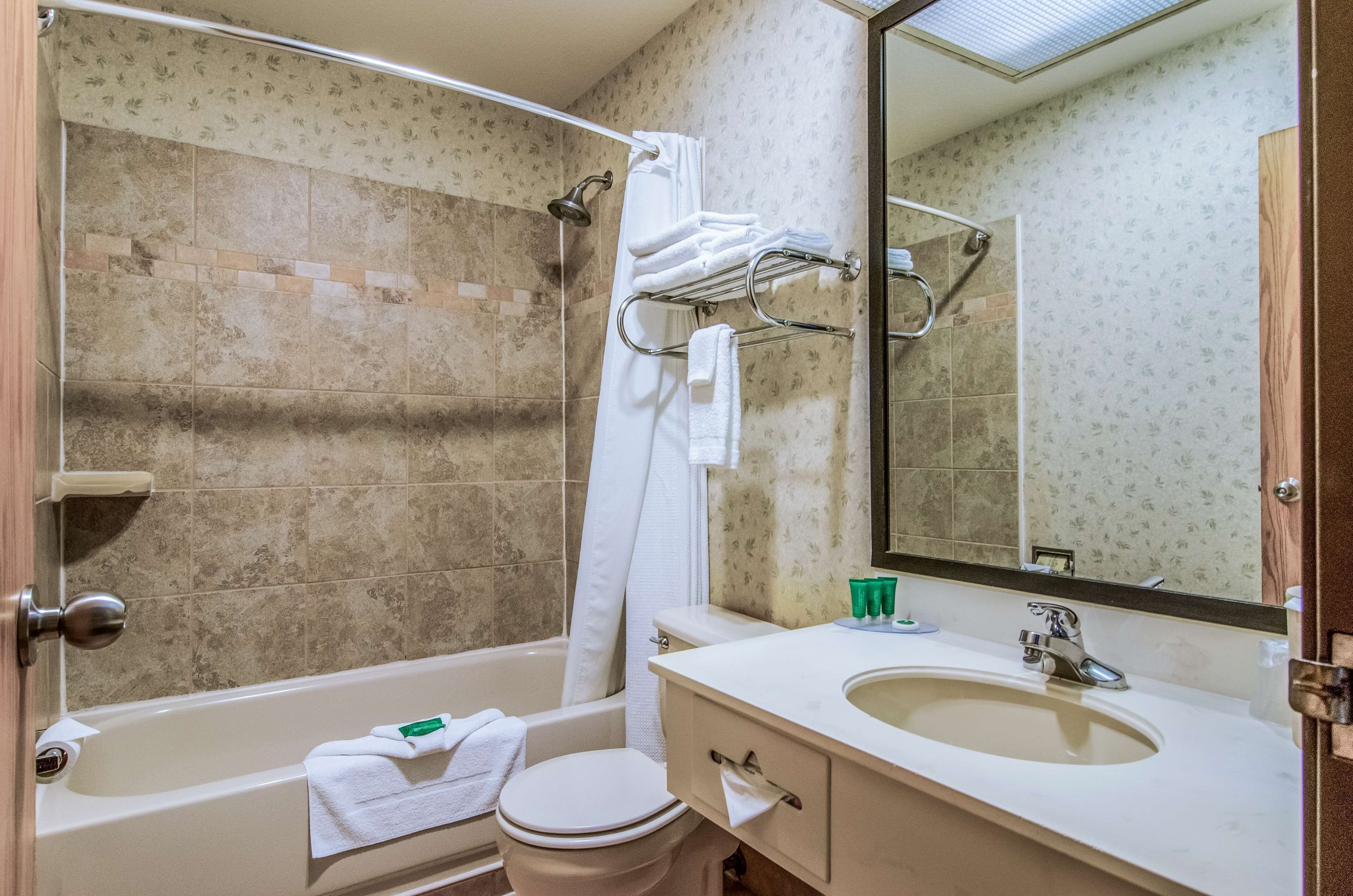 combined shower/bathtub, free toiletries, hair dryer, towels