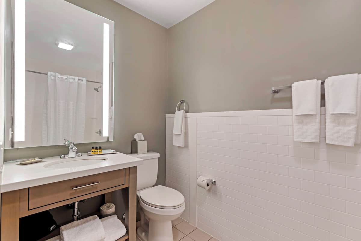 Combined shower/tub, free toiletries, hair dryer, towels