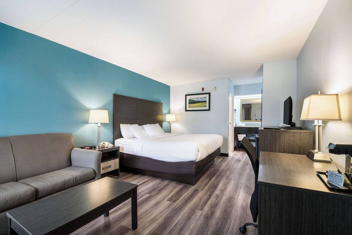 A hotel room with a bed, a sofa, a desk, and a chair.
